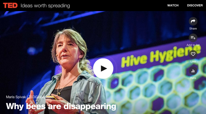 Screen Shot 2018-05-09 at 9.17.33 AM